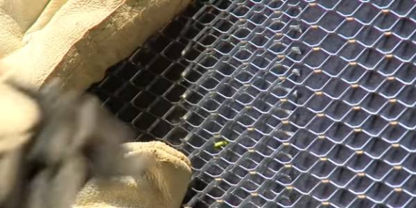 Fix the metal lath onto the waterproof layer.